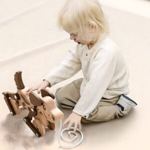 Montessori Toys 1 2 3 4 Years Old Boys Girls Wooden Walking Pull Dog Toy for Baby Toddler, Pull Along Walking Toys, Walk Along Puppy Pull, Wooden Pull & Push Toy