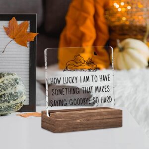 Graduation Goodbye Gifts, Cute Winnie the Pooh Clear Acrylic Desk Decorative Sign with Wood Stand, Home Office Positive Plaque Decor, Graduation Farewell Gifts for College Students Girls Boys