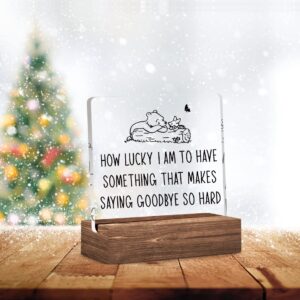 Graduation Goodbye Gifts, Cute Winnie the Pooh Clear Acrylic Desk Decorative Sign with Wood Stand, Home Office Positive Plaque Decor, Graduation Farewell Gifts for College Students Girls Boys