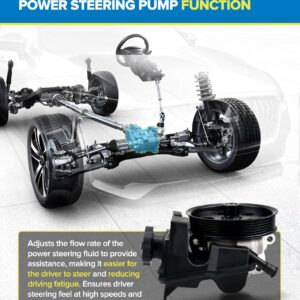 PHILTOP Power Steering Pump 20-326 OE Replacement For Focus 2006-2011, Transit Connect 2010-2011 2.0L, 6S4Z3A674A, 6S4Z3A674ARM, 7S4Z3A674A Power Assist Pump