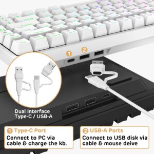 RK ROYAL KLUDGE RK84 Wired RGB 75% Hot Swappable Mechanical Keyboard, 84 Keys Tenkeyless TKL Gaming Keyboard w/Programmable Software and High-Capacity Battery, RK Brown Switch