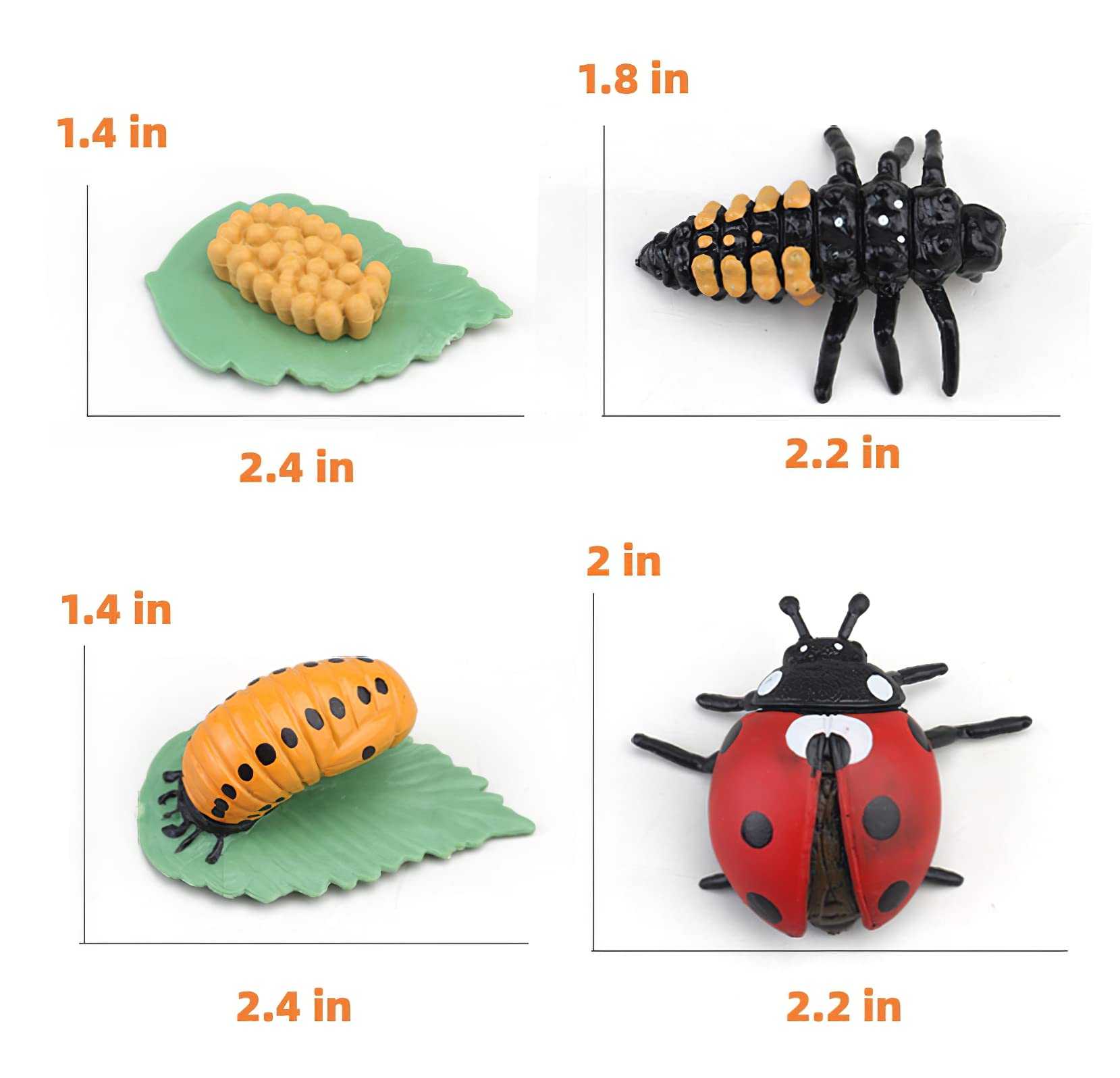 Montessori Life Cycle Learning & Education Toys, Plastic Insect Ladybug Monarch Butterfly Tadpole to Frog Kit Life Cycle Toys for Kids, Preschool Learning Activities for Toddlers