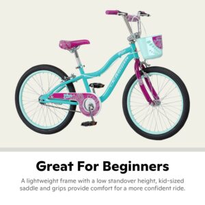 Schwinn Koen & Elm BMX Style Kids Bike with Basket & Kickstand, 20-Inch Wheels, For Ages 7-13, Includes Stars & Flowers Alloy Training Wheels