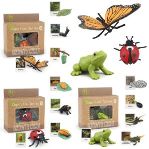 montessori life cycle learning & education toys, plastic insect ladybug monarch butterfly tadpole to frog kit life cycle toys for kids, preschool learning activities for toddlers