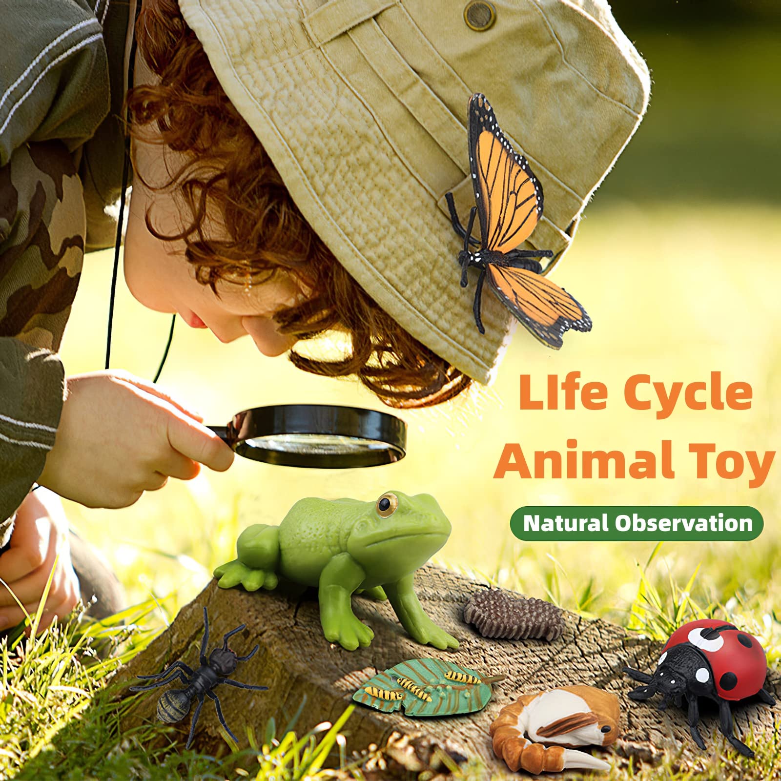 Montessori Life Cycle Learning & Education Toys, Plastic Insect Ladybug Monarch Butterfly Tadpole to Frog Kit Life Cycle Toys for Kids, Preschool Learning Activities for Toddlers