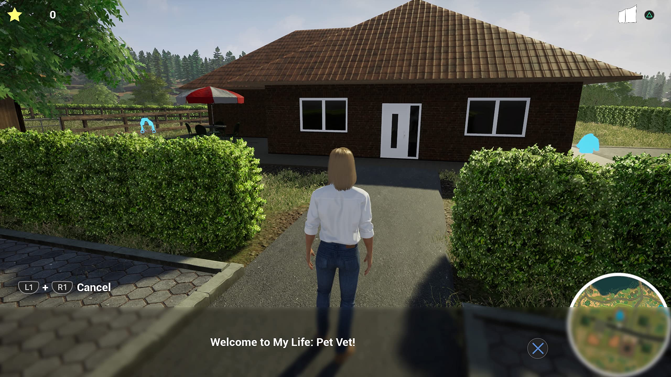 My Life: Pet Vet (PlayStation 4)