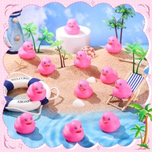 Hungdao 24 Pcs 2 Inch Mini Rubber Ducks for Kids Children Party Favors Bulk Bath Ducks Summer Pool Floating Toys Rubber Ducks Birthday Gifts for Boys Girls Baby Shower Supplies(Pink)