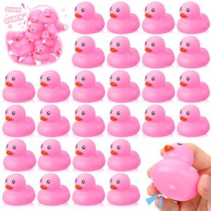 hungdao 24 pcs 2 inch mini rubber ducks for kids children party favors bulk bath ducks summer pool floating toys rubber ducks birthday gifts for boys girls baby shower supplies(pink)