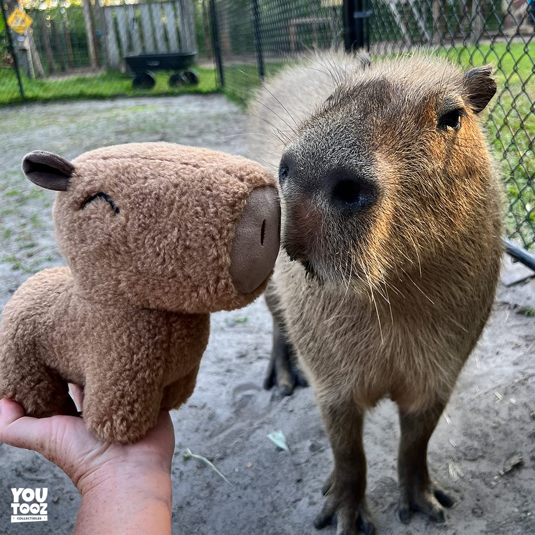 YouTooz Capybara 9" Inch Plush, Super Soft and Adorable Capybara Animal Plush Capybara Plush Collection