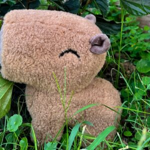 YouTooz Capybara 9" Inch Plush, Super Soft and Adorable Capybara Animal Plush Capybara Plush Collection