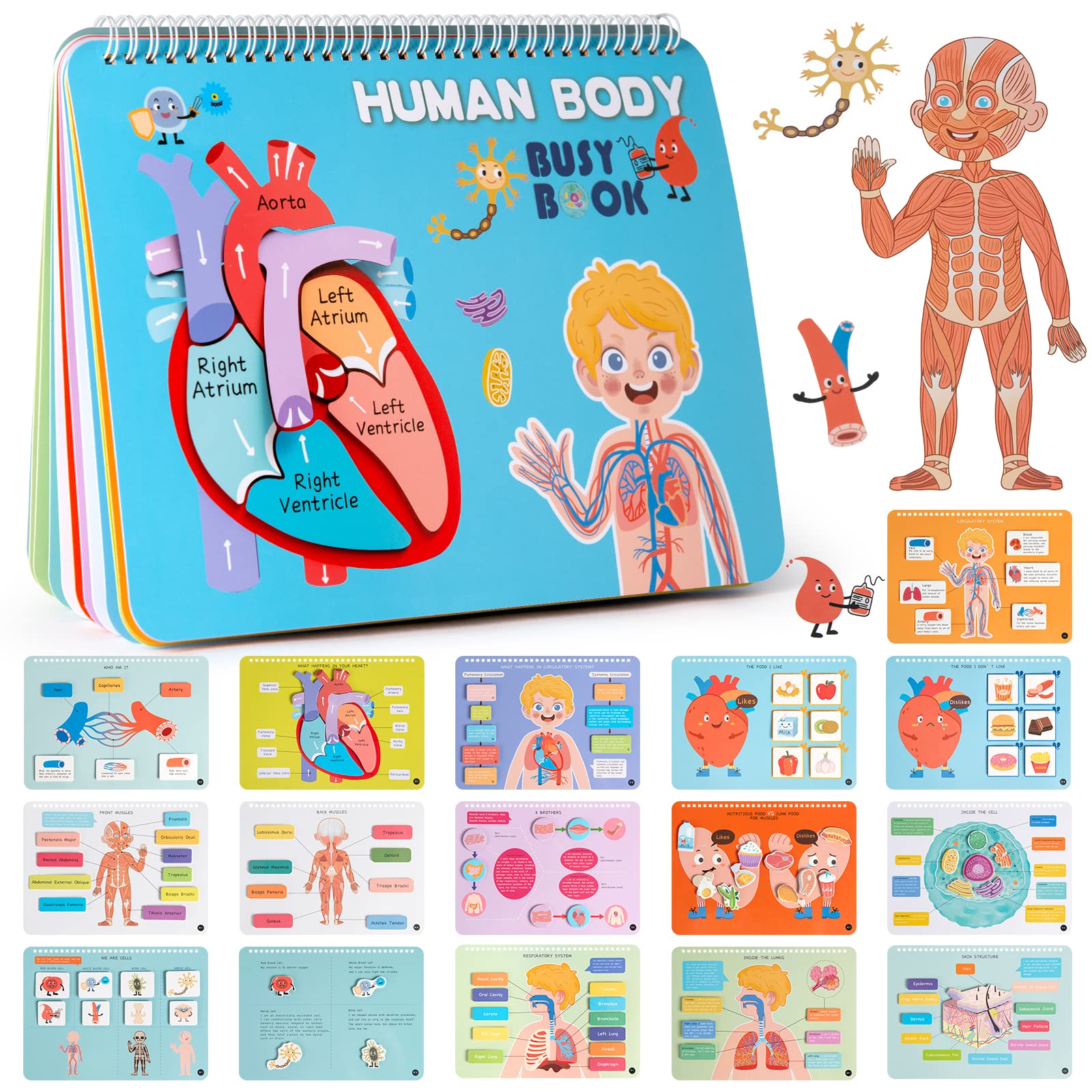 Freebear Montessori Busy Book for Kids, Human Body Anatomy Book for Toddlers, Preshool Kindergarten Learning Activities, Autism Sensory Toys, Travel Toys, Gifts for Girls and Boys 4 5 6 7 8 Years