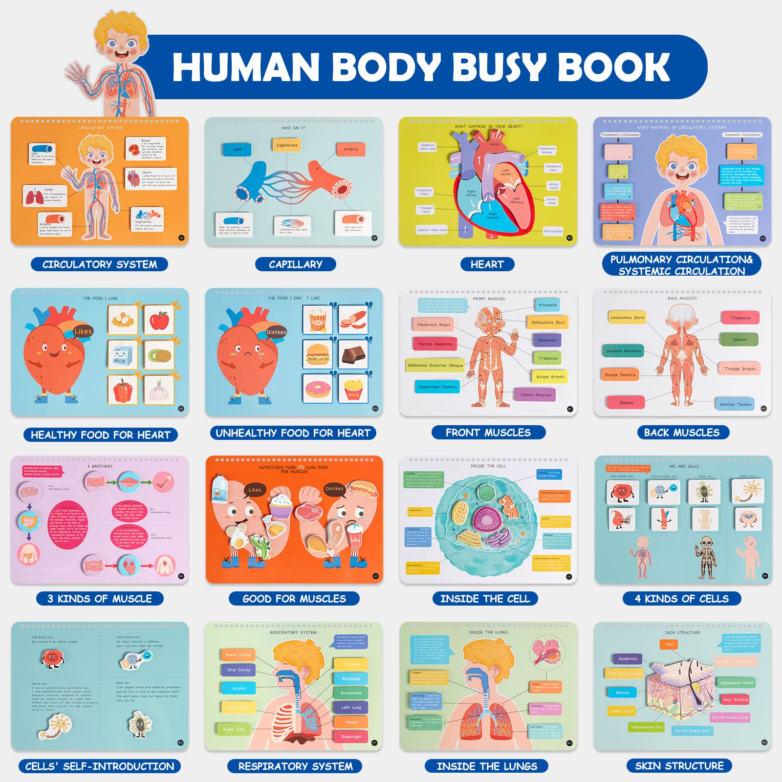 Freebear Montessori Busy Book for Kids, Human Body Anatomy Book for Toddlers, Preshool Kindergarten Learning Activities, Autism Sensory Toys, Travel Toys, Gifts for Girls and Boys 4 5 6 7 8 Years