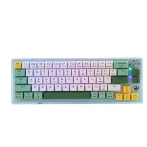 BOYI TD66 Mini RGB Hot Swappable Tri-Mode 65% Mechanical Gaming Keyboard with Knob,2.4Ghz/Bluetooth 5.0/Wired Dye Sublimation PBT Keycaps Programmable Keyboard for Mac/Win/Gamers(Avocado XDA Keycaps)