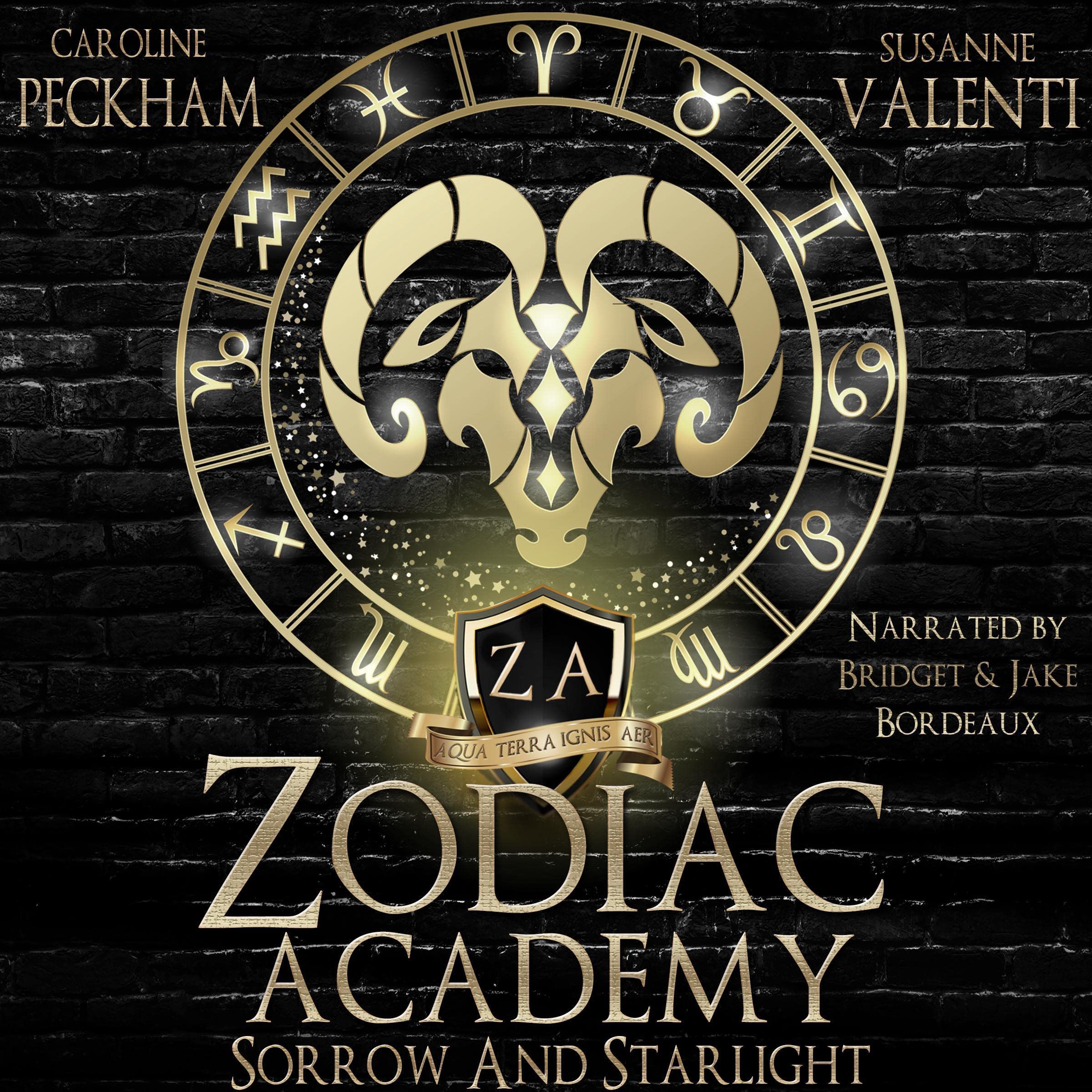 Zodiac Academy 8