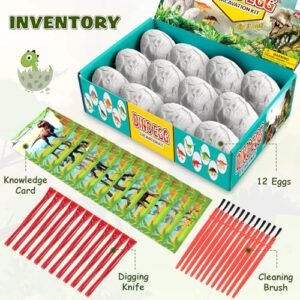 Dino Eggs Dig Kit, 12 Pack Dinosaur Eggs Excavation Set, Easter Gift Dinosaur Toys Science Experiments Kits with 12 Cards, Easter Basket Stuffers Toys for 3 4 5 6 7 8 9 10 11 Year Old Boys Girl