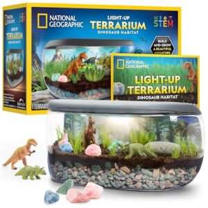 national geographic light up terrarium kit for kids - build a dinosaur habitat with real plants & gemstones, science kit, dinosaur toys for kids (amazon exclusive)