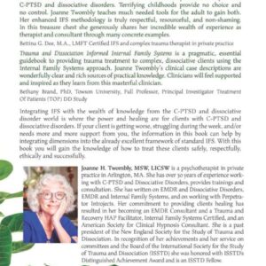 Trauma and Dissociation Informed Internal Family Systems: How to Successfully Treat C-PTSD, and Dissociative Disorders