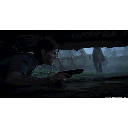 The Last of Us Part II Standard Edition - PlayStation 4, PlayStation 5