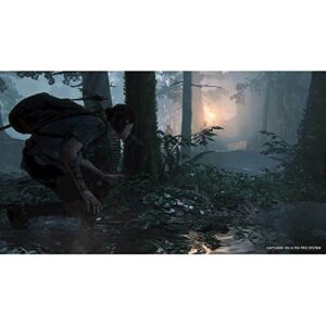 The Last of Us Part II Standard Edition - PlayStation 4, PlayStation 5