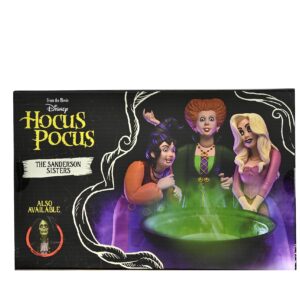 NECA Hocus Pocus: Toony Terror Sanderson Sisters 6" Action Figure 3-Pack