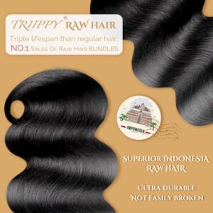 TRIIPPY Triple Lifespan Virgin Hair Bundles - 24 Inches Indian Body Wave, Soft and Silky After Multiple Washes