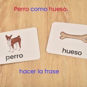 BOHS Spanish and English Literacy Wiz Game - Preschool Language Learning Educational Toys