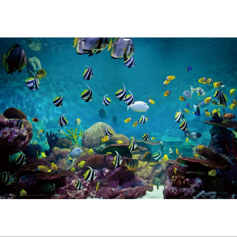 DORCEV 20x10ft Underwater World Photography Backdrop Submarine World Sea Fishes Aquatic Plants Background Undersea World Cartoon Theme Kids Birthday Party Luau Hula Party Banner Supplies Banner