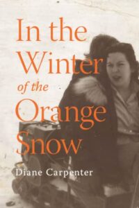 in the winter of the orange snow