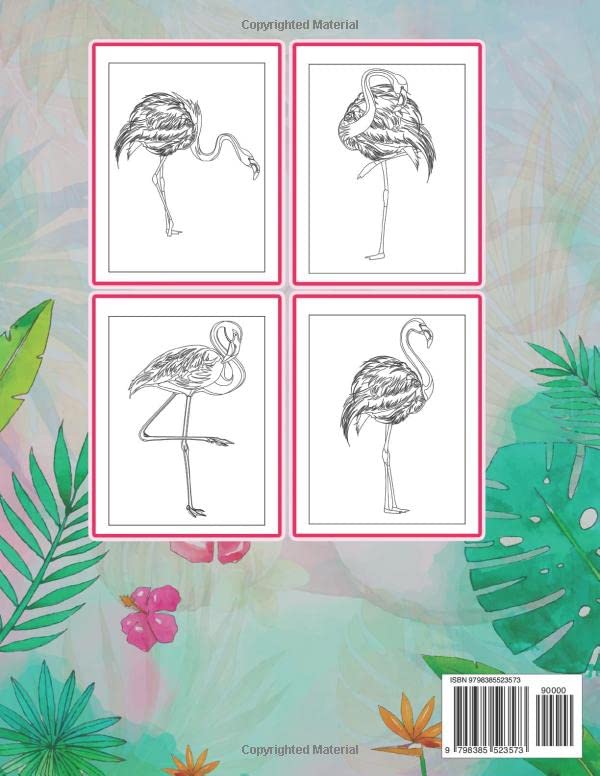 Flamingo Coloring Book for Kids: A Fun and Educational Flamingo Coloring Book for Kids of All Ages!