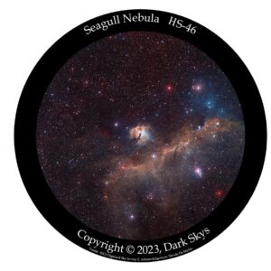 HS-46 Segull Nebula Star disc for The Homestar Flux