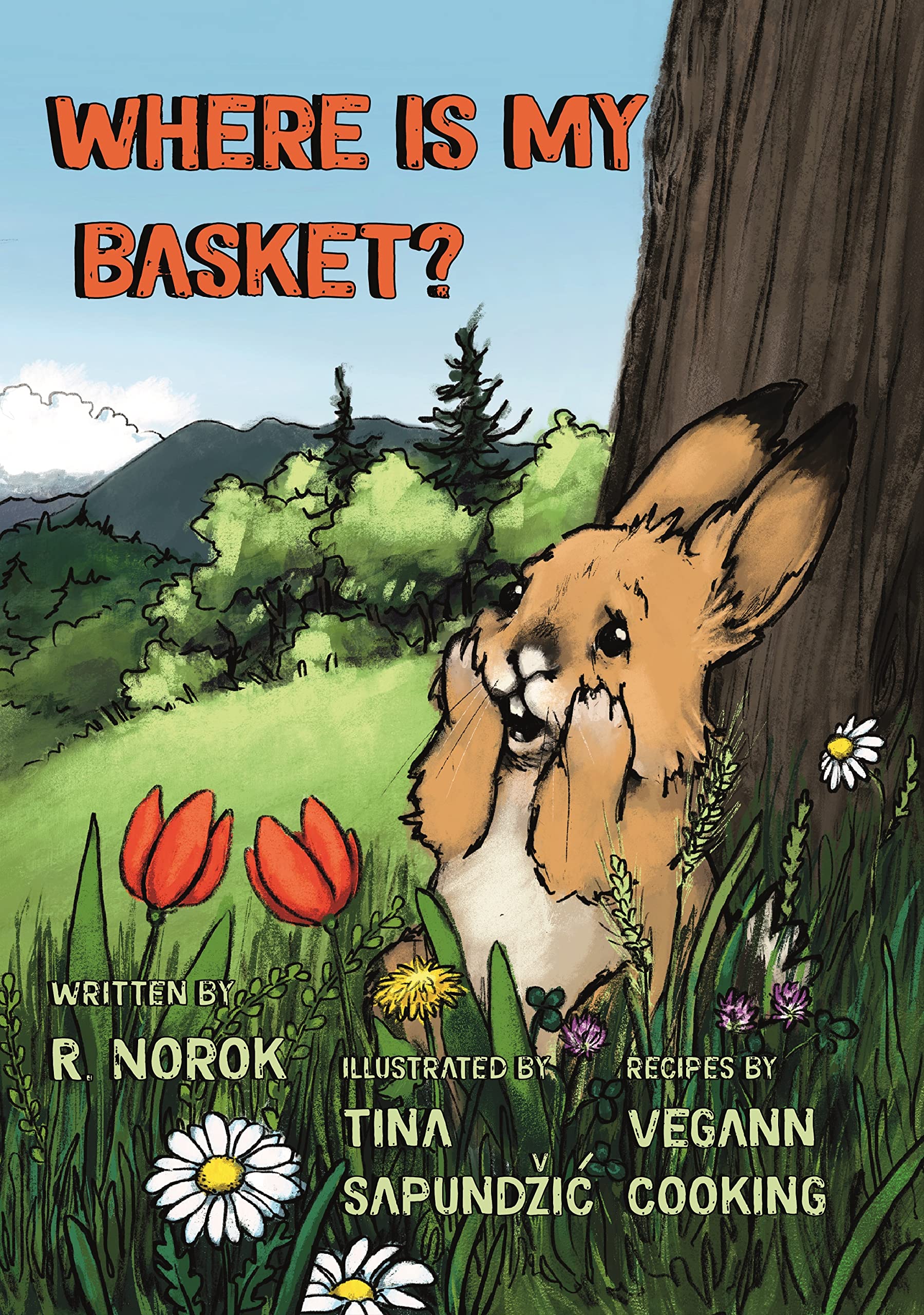 Where is my basket? (Where is my..? Book 1)