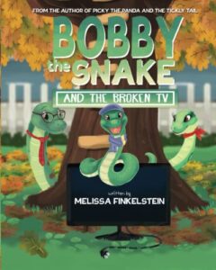 bobby the snake and the broken tv (the big feelings friends)