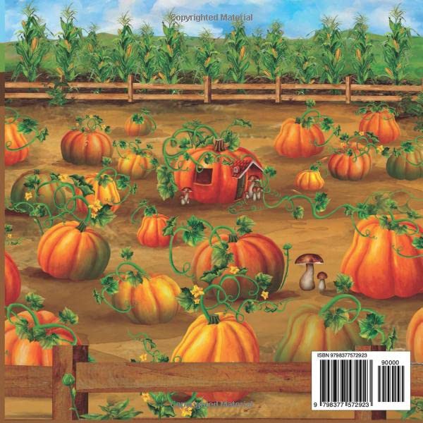 The Gray Mouse and the Pumpkin Patch House