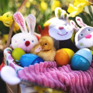 HABA Ultimate Easter Basket Toy Bundle - Musical Eggs, Bunny Teether, Hops Cuddly Lovey and Bunny Ball