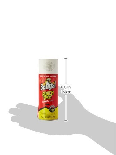 Bengal Roach Spray, Odorless Stain-Free Dry Spray, 9 Oz. Aerosol Can