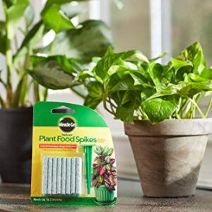 Miracle-Gro Indoor Plant Food Spikes, Includes 24 Spikes - Continuous Feeding for all Flowering and Foliage Houseplants - NPK 6-12-6