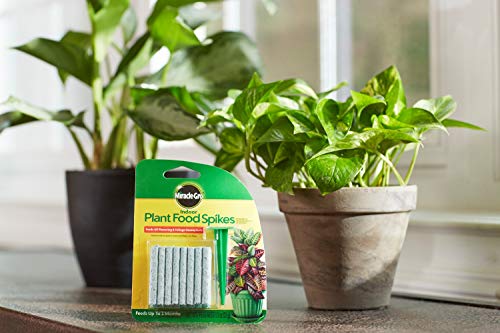 Miracle-Gro Indoor Plant Food Spikes, Includes 24 Spikes - Continuous Feeding for all Flowering and Foliage Houseplants - NPK 6-12-6