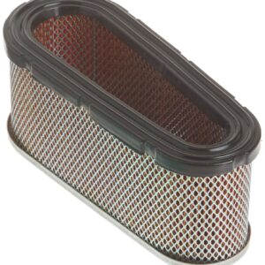 Briggs & Stratton Air Filter Cartridge/Pre-Cleaner 12.5 - 17 HP 5053K