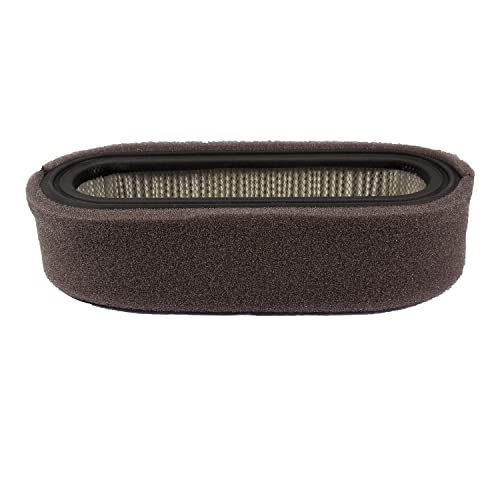 Maxpower 334319 Briggs and Stratton 394019 Air Filter