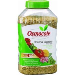 osmocote 273260 outdoor and indoor smart-release plant food jar, 1.25-pound