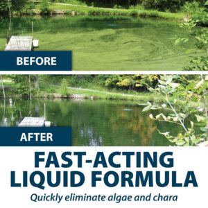 Airmax Algae Defense, EPA Registered Algaecide Pond & Lake Water Treatment, Floating Moss, Green Slime Scum & Chara Killer for Large Ponds & Lakes, Outdoor Liquid Spray Copper Based Solution, 1 Gallon