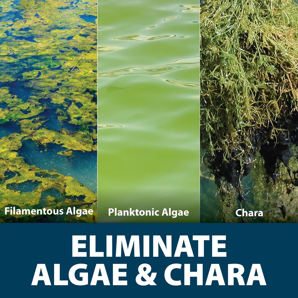 Airmax Algae Defense, EPA Registered Algaecide Pond & Lake Water Treatment, Floating Moss, Green Slime Scum & Chara Killer for Large Ponds & Lakes, Outdoor Liquid Spray Copper Based Solution, 1 Gallon