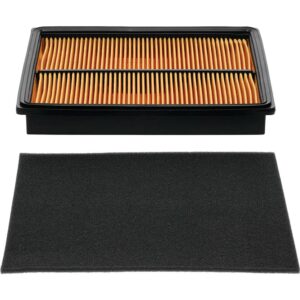 Stens Air Filter Combo 102-164 Compatible with/Replacement for Honda 17210-ZJ1-842