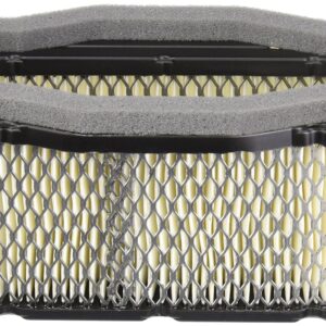 Stens 054-243 Kawasaki 11013-7027 Air Filter