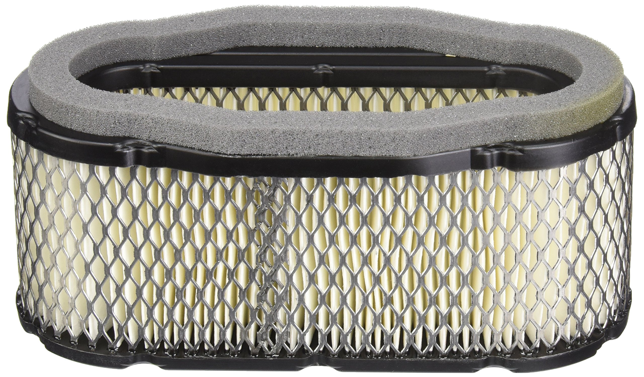 Stens 054-243 Kawasaki 11013-7027 Air Filter