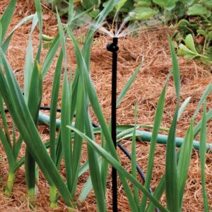 Rain Bird MSH2PKS Drip Irrigation 10-32 Threaded Micro-Spray Nozzle, 180° Half Circle Pattern, 0 - 10' Spray Distance, 2-Pack