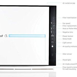RabbitAir MinusA2 Ultra Quiet HEPA Air Purifier - Stylish, Efficient and Energy Star (SPA-780A, White, Pet Allergy)