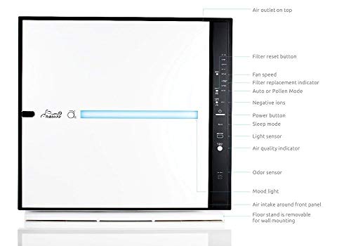 RabbitAir MinusA2 Ultra Quiet HEPA Air Purifier - Stylish, Efficient and Energy Star (SPA-780A, White, Pet Allergy)