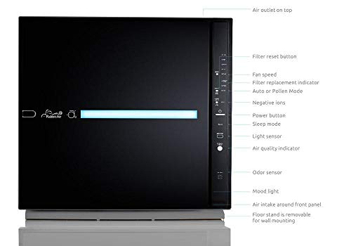 RabbitAir MinusA2 Ultra Quiet HEPA Air Purifier - Stylish, Efficient and Energy Star (SPA-780A, Black, Odor Remover)