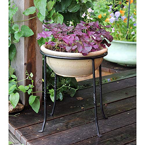 Achla Designs FB-14 Ring Wrought Iron Metal Plant birdbath Bowl Stand Flowerpot Holder, Black